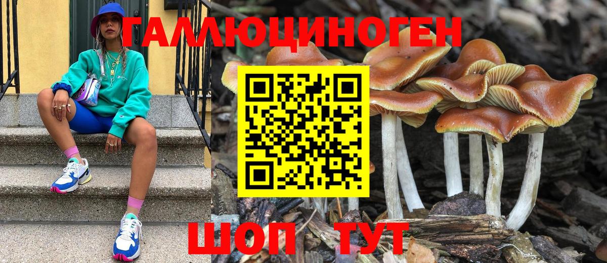 Галлюциногенные грибы Cubensis  Вход с VPN  Карталы 